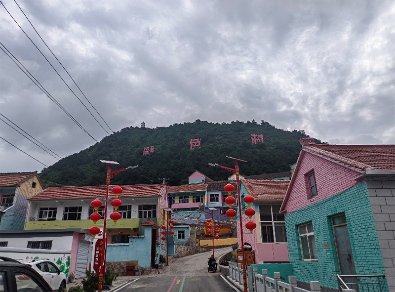 七彩村莊煥發(fā)新生機，連翹產(chǎn)業(yè)助力鄉(xiāng)村振興