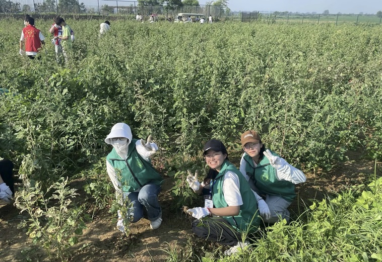 用青春熱血探興，為非遺傳承貢獻力量