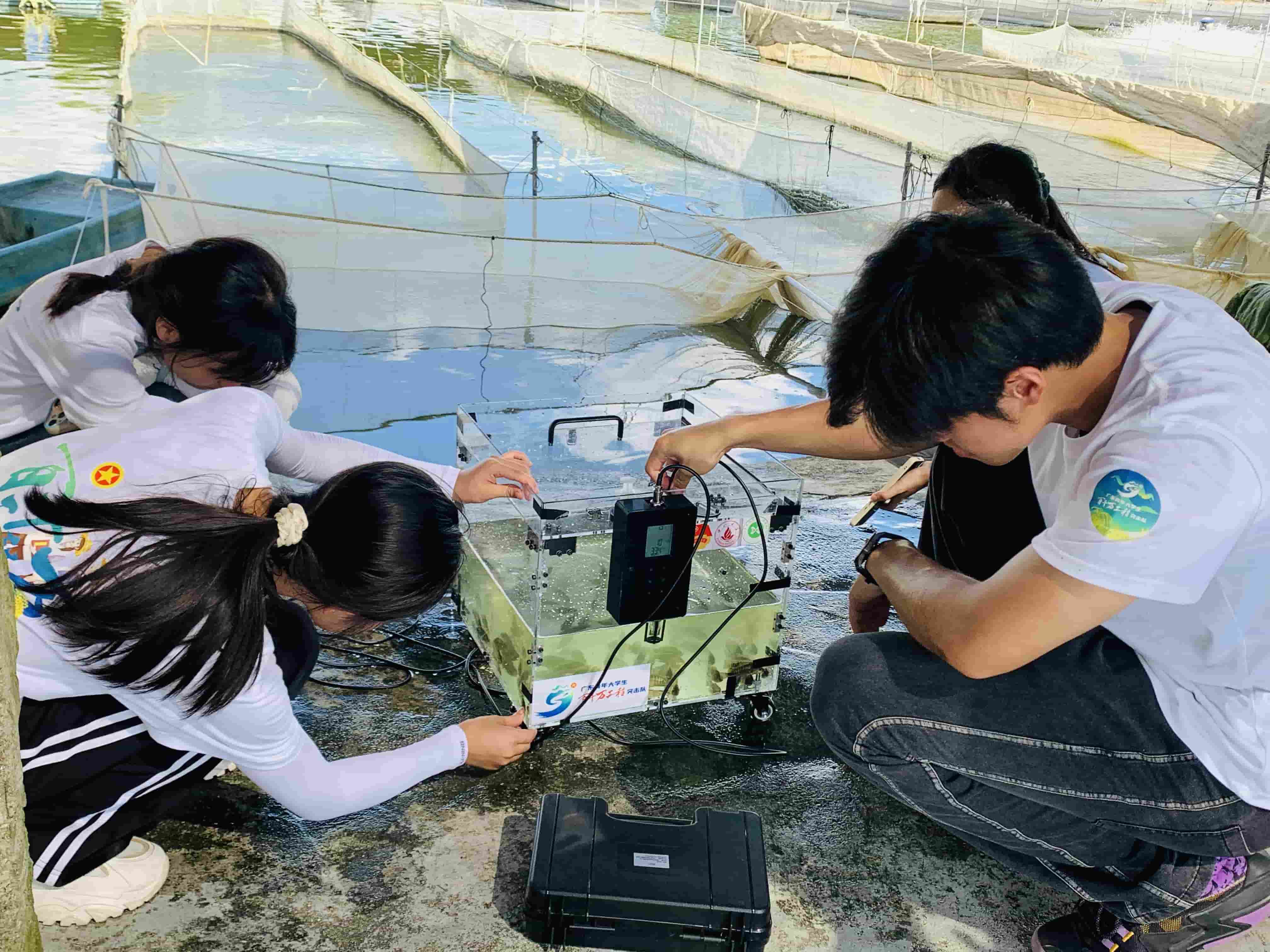 智慧漁業助力鄉村振興：佛山大學實踐團創新羅非魚苗運輸技術