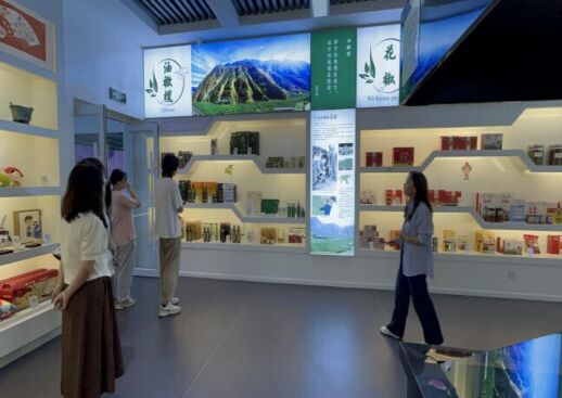 “隴上江南”實(shí)踐團(tuán)踏足隴南電商尋蹤跡，一線調(diào)研實(shí)踐求真