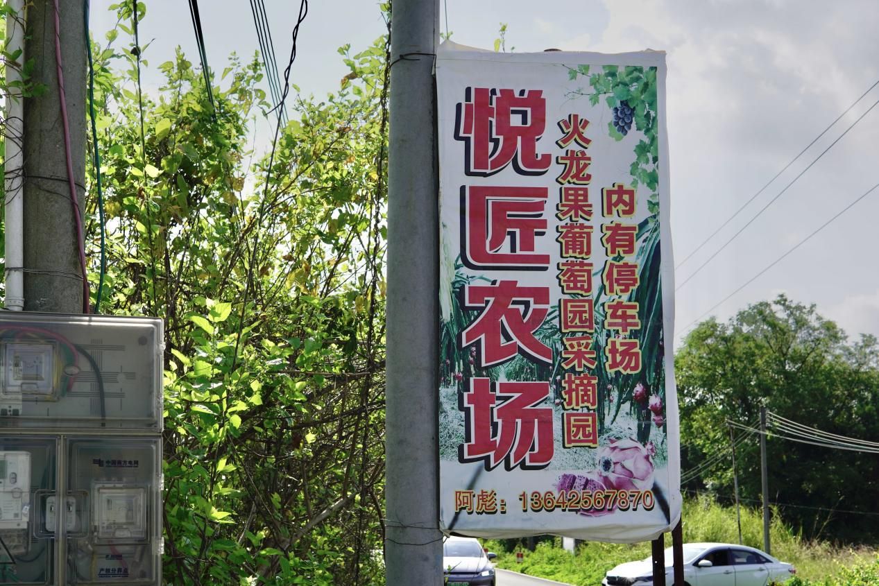 【百千萬工程 助力鄉春】挖掘西河農業特色，探尋產業發展脈絡