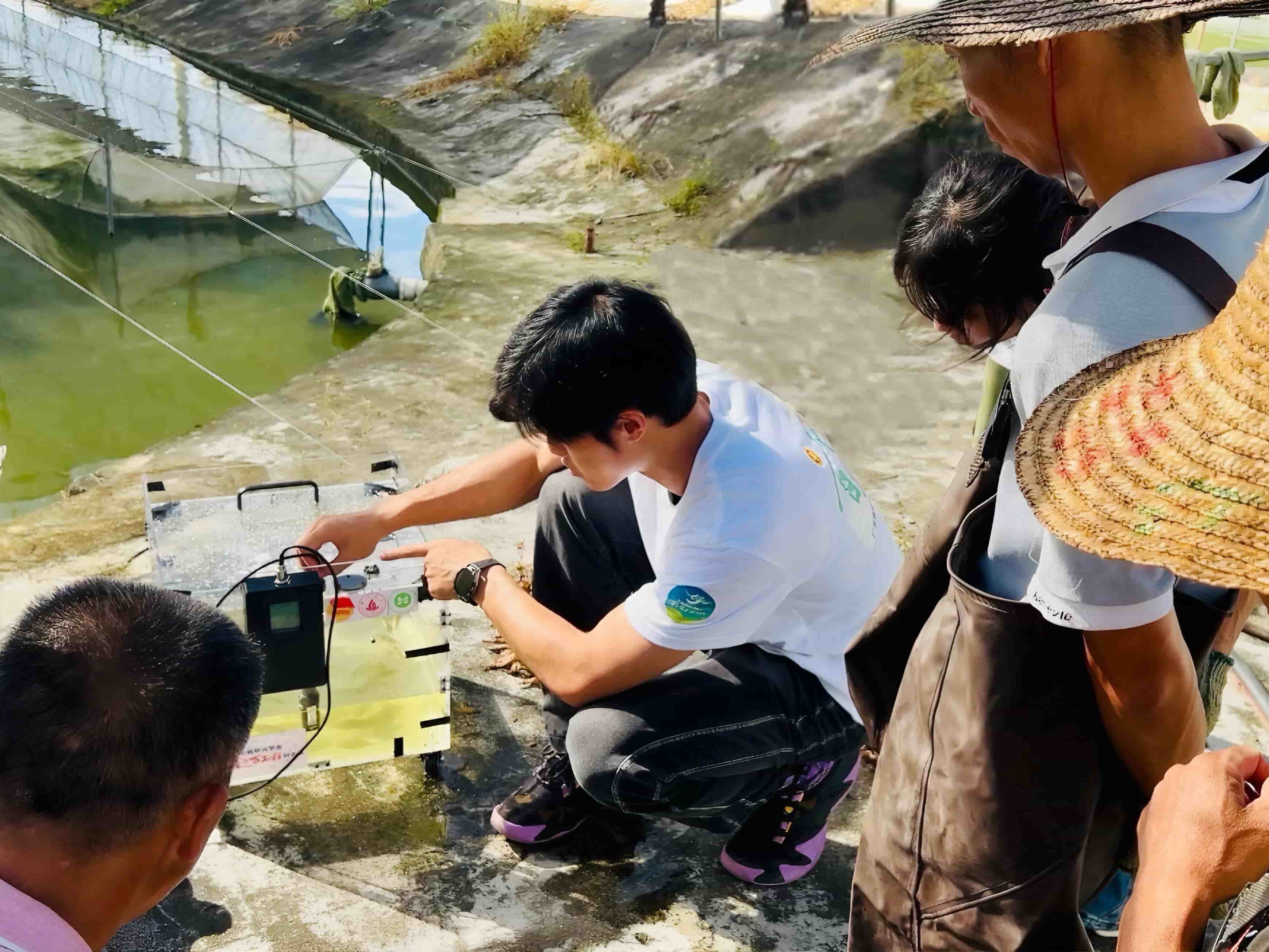 佛山大學“漁”躍鄉村實踐團：智慧漁業與墻繪藝術共促都斛村振興