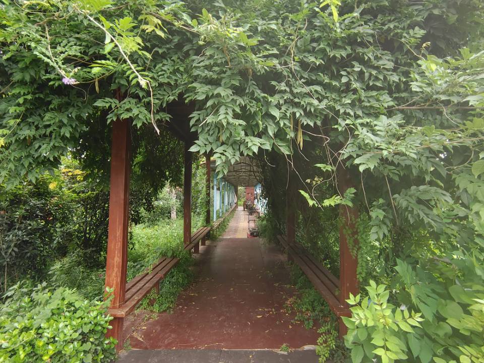 "青春的奉獻：李順雨同學暑期支教夢，點燃母校東方寄宿學校學子心"