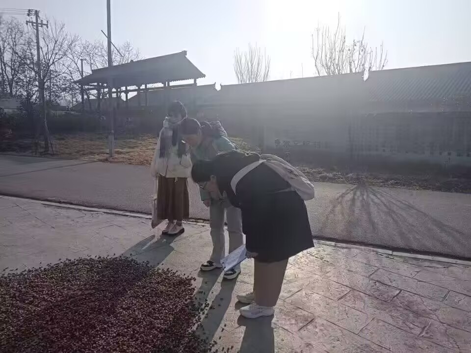 環境治理——安徽財經大學學子走訪調研蚌埠鄉村調研農藥使用情況