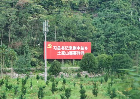 【我們的暑期實踐】重走主席視察路，共繪鄉村振興新篇章
